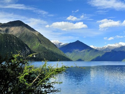 花呗未发货退款攻略：安出掌柜助力高效维权少操心