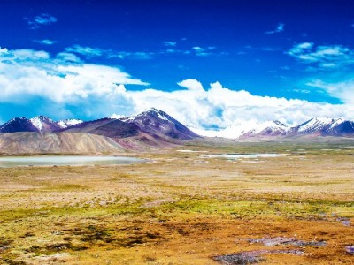 京东白条换红包提现攻略：合规操作指南+安出掌柜辅助参考