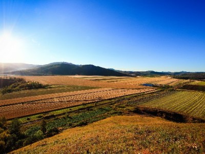 花呗商家发票管理有新招？安出掌柜助力合规经营更省心