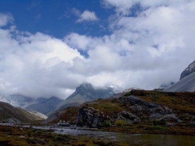 套白条花呗暗藏四大风险！出财小神教你合规用信攻略