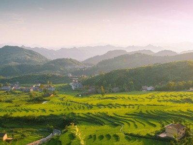 琼海白条提现需谨慎！安出掌柜揭秘合规资金周转新方式