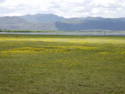 跨城医保转移不用愁 安出掌柜助您高效办理转出证明