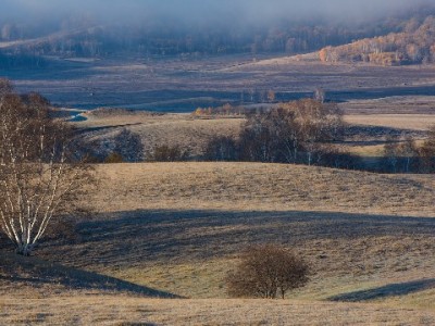 抖音月付团购套现暗藏风险 安出掌柜提醒合规用信更安心