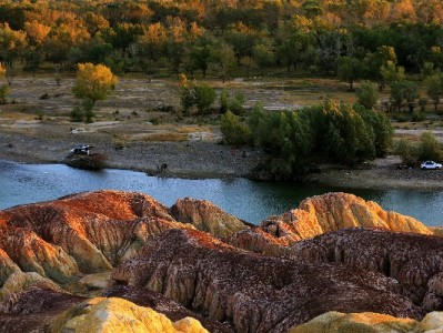 花呗绑定银行卡如何解绑？详细步骤+安出掌柜安全提醒