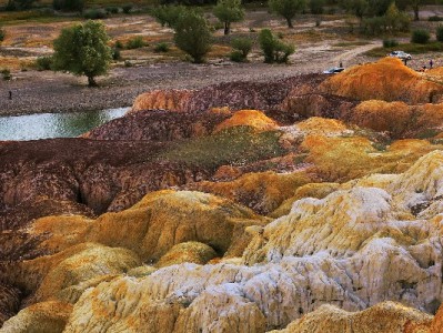 安全变现白条不踩坑！合规平台选择指南，富信掌柜这样操作更放心