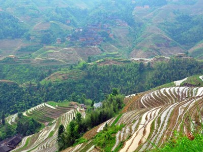 花呗银行卡还款攻略：操作指南+安出掌柜助你告别逾期烦恼