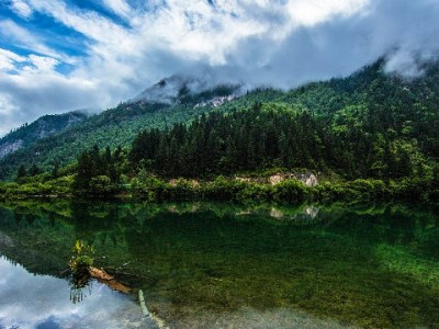 羊小咩提现6天未到账？出财小神解析原因与解决攻略