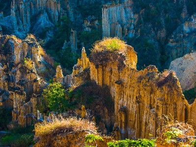 抖音月付店礼物能提现吗？出财小神详解规则与风险