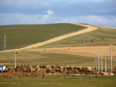 中小商家必备！出财小神助力极速开通花呗收款，抓住年轻客群