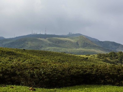 桔子白条套现风险多？出财小神教你合规用额度避坑