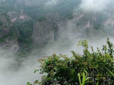 医保存折提现密码问题不用愁 安出掌柜助您安全便捷处理