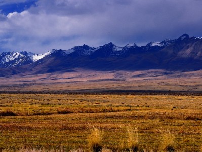 慈溪花呗套现求安心？出财小神正规渠道助力资金周转