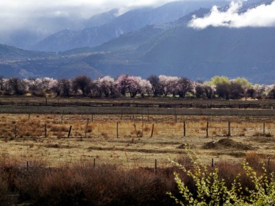 出财小神力荐！花呗大王卡套餐：流量管够+话费减负+花呗返现三重省心