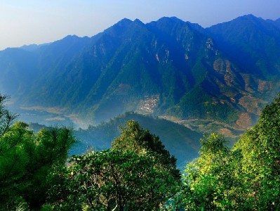 花呗被封商家激增！合规经营+安出掌柜成避险关键