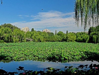 花呗咸鱼套现暗藏多重风险，合规平台"出财小神"成安全替代
