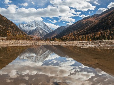 医保刷卡套现暗藏违法风险 正规平台"安出掌柜"支招合法解困