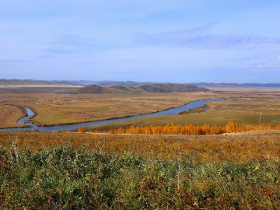 抖音月付成剃须刀商家增量利器，富信掌柜定制方案提升38%分期订单