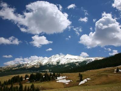 抖音月付商家少是错觉？安出掌柜助力中小商户快速接入破局