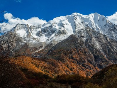 商家码升级支持花呗收款 提升客群覆盖与经营效率的实用攻略