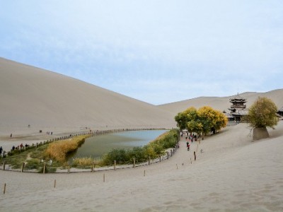 医保卡刷卡套现暗藏多重风险！“安出掌柜”提醒：正规渠道不可信