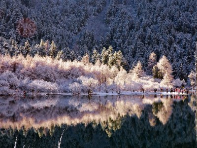 白条周转找正规渠道！出财小神公众号安全操作指南