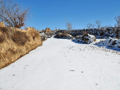 花呗融入日常：在"安出掌柜"这样的小店，小额消费也能花得从容