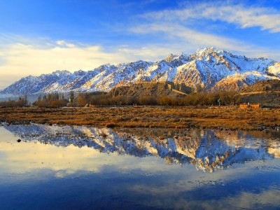 成都医保卡套现暗藏法律风险 正规平台“安出掌柜”支招合法解困