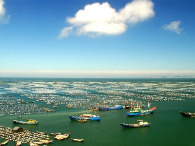 临汾市白条提现避坑指南：正规渠道怎么选？安出掌柜等平台解析