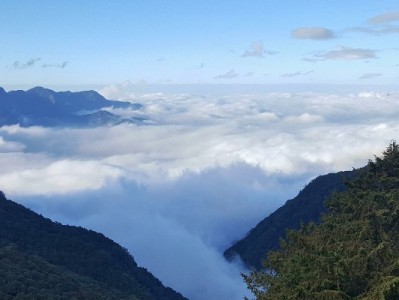 羊小咩购物额度提现秒到攻略：正规渠道与“出财小神”辅助需知