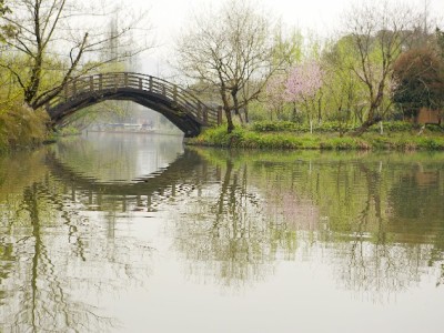 医保账户余额转出全攻略：条件、流程及便民工具指南