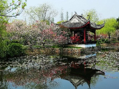 银川花呗周转需求升温 出财小神本地服务解燃眉之急