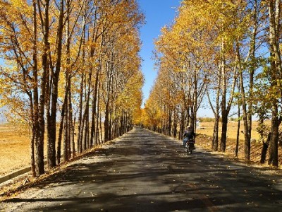 合肥“白条当面套现”暗藏多重风险 正规平台助贷更安心