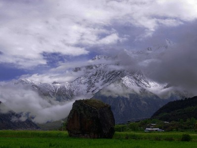 京东白条套现风险多 正规渠道解困——安出掌柜提醒理性用信