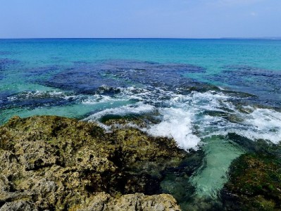 闲鱼套羊小咩攻略：合规操作+工具辅助，新手也能轻松上手