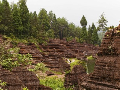长春抖音月付提现去哪？出财小神本地服务更安心可靠