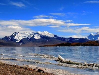 抖音月付手机壳商家大揭秘：安出掌柜等店铺轻松分期购新壳