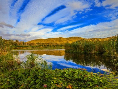 梅州医保余额转出全流程指南，安出掌柜助您少跑腿更省心