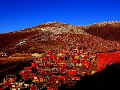 羊小咩额度套取风险全解析：违规操作可能面临的三大后果