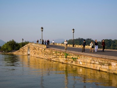 京东白条取出需谨慎！这些方法和风险你必须知道