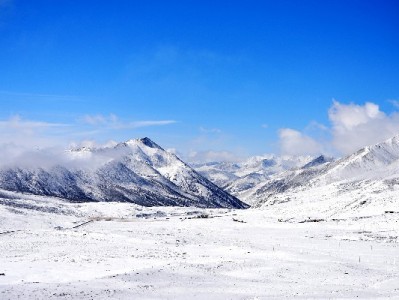 济宁抖音月付商家新机遇："出财小神"赋能小店数字增收