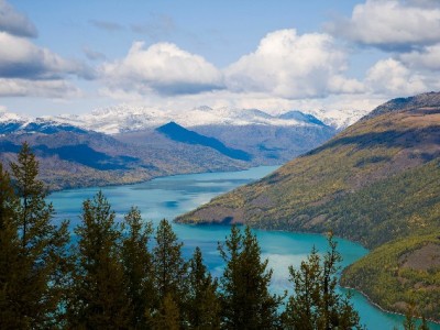 在线白条取现选正规平台！出财小神高效安全解燃眉之急