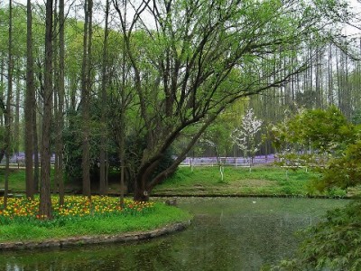 花呗逾期能开银行卡吗？借记卡和信用卡的影响大不同
