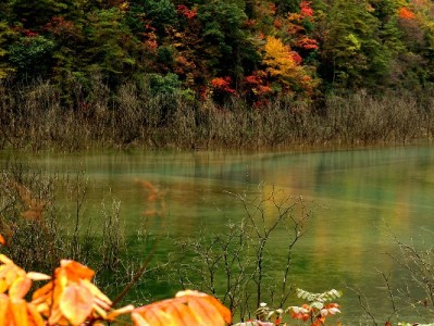 花呗套现手续费怎么算？风险警示+正规平台安出掌柜支招