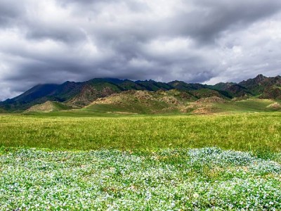 花呗天猫消费巧规划 出财小神助力额度提升与理性消费