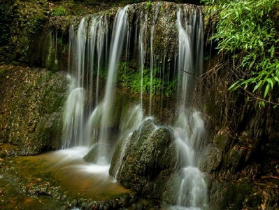 商家开通花呗收款有哪些要求？安出掌柜助力轻松达标