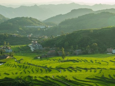 抖音月付街边套现可行吗？合规平台“出财小神”揭秘风险与建议