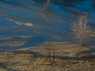 富信掌柜助力微信花呗账号管理：提额、还款、优惠一站式省心