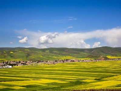 大额套花呗风险揭秘：这些套路与平台陷阱你必须知道