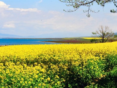 抖音月付商家准入全解析：哪些能开通？这类服务商来助力