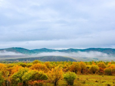 花呗微信还款攻略：出财小神助你跨平台轻松操作